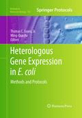 Heterologous Gene Expression in E.coli