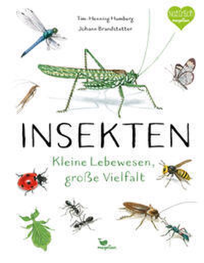 Insekten - Kleine Lebewesen, große Vielfalt