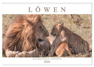Löwen - Raubkatzen Afrikas (Wandkalender 2026 DIN A3 quer), CALVENDO Monatskalender
