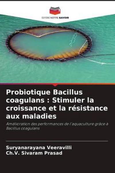 Probiotique Bacillus coagulans : Stimuler la croissance et la résistance aux maladies