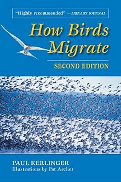 How Birds Migrate