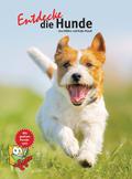 Entdecke die Hunde