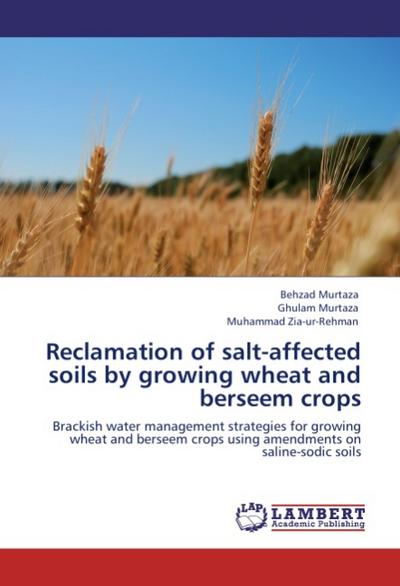 Reclamation of salt-affected soils by growing wheat and berseem crops