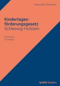 Kindertagesförderungsgesetz Schleswig-Holstein