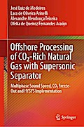 Offshore Processing of CO2-Rich Natural Gas with Supersonic Separator