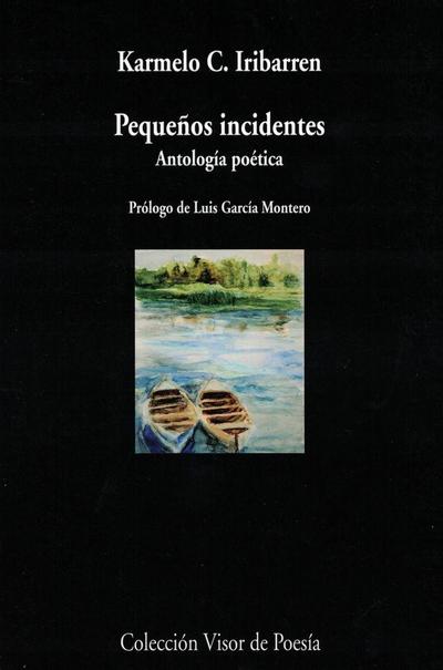 Pequeños incidentes : antología poética