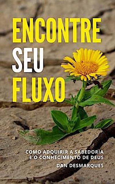 Encontre Seu fluxo