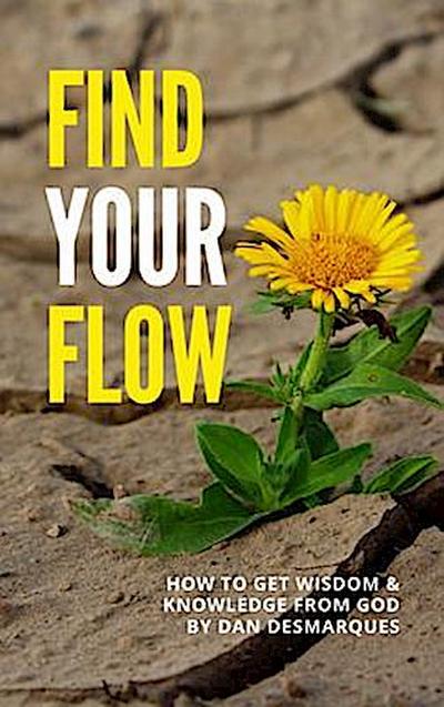 Find Your Flow