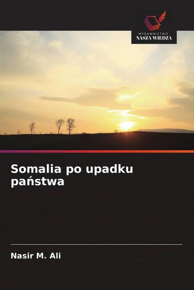 Somalia po upadku pa¿stwa