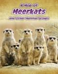 Mob of Meerkats