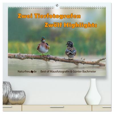 Zwei Tierfotografen Zwölf Highlights (hochwertiger Premium Wandkalender 2026 DIN A2 quer), Kunstdruck in Hochglanz