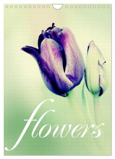 flowers (Wandkalender 2024 DIN A4 hoch), CALVENDO Monatskalender