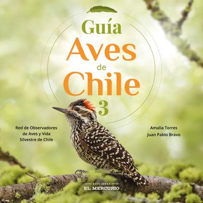 Guía aves de Chile 3