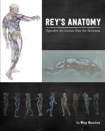 Rey’s Anatomy