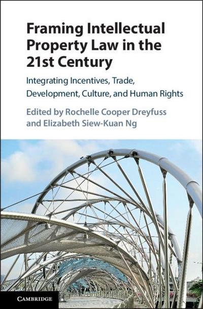 Framing Intellectual Property Law in the 21st Century