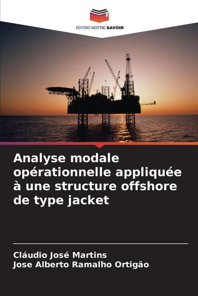 Analyse modale opérationnelle appliquée à une structure offshore de type jacket
