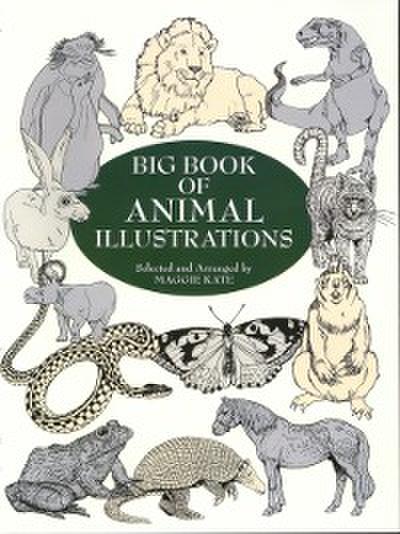 Big Book of Animal Illustrations