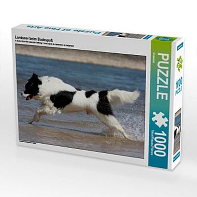 Landseer beim Badespaß (Puzzle)