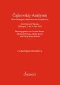 Cajkovskij-Analysen - Neue Strategien, Methoden un