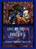 Die Petrusbriefe