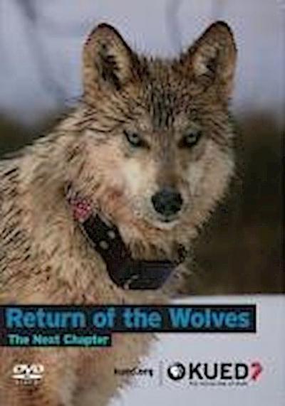 Return of the Wolves
