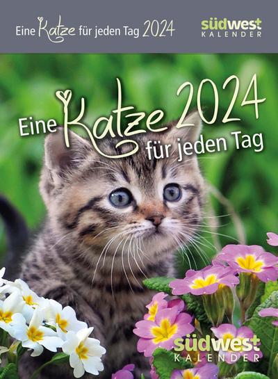 Eine Katze für jeden Tag 2024  - Tagesabreißkalender zum Aufstellen oder Aufhängen