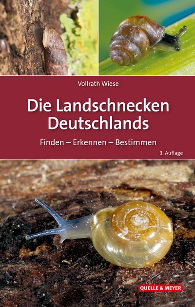 Die Landschnecken Deutschlands