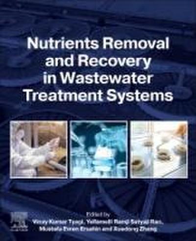 Nutrients Removal and Recovery in Wastewater Treatment Systems