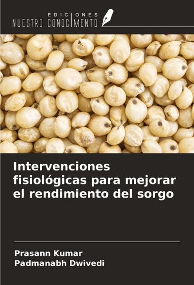 Intervenciones fisiológicas para mejorar el rendimiento del sorgo