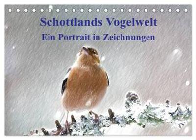 Schottlands Vogelwelt - Ein Porträt in Zeichnungen (Tischkalender 2026 DIN A5 quer), CALVENDO Monatskalender