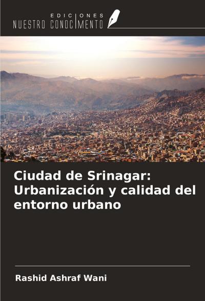 Ciudad de Srinagar: Urbanización y calidad del entorno urbano