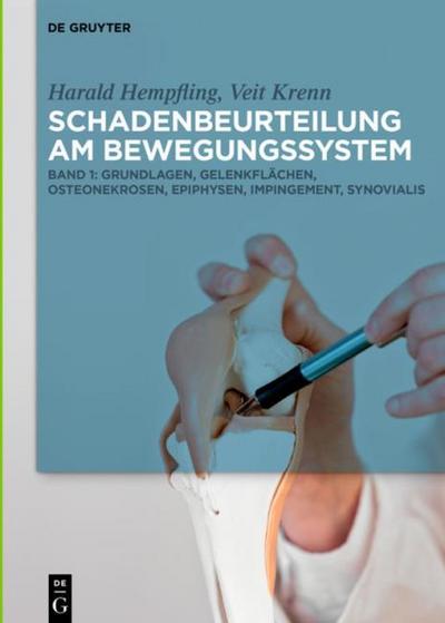 Schadenbeurteilung am Bewegungssystem 1