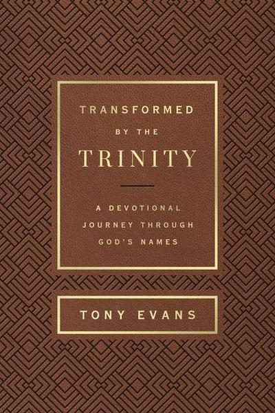 Transformed by the Trinity (Milano Softone)