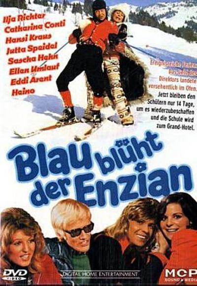 Blau blüht der Enzian