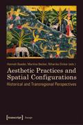 Aesthetic Practices and Spatial Configurations