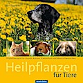 Heilpflanzen für Tiere