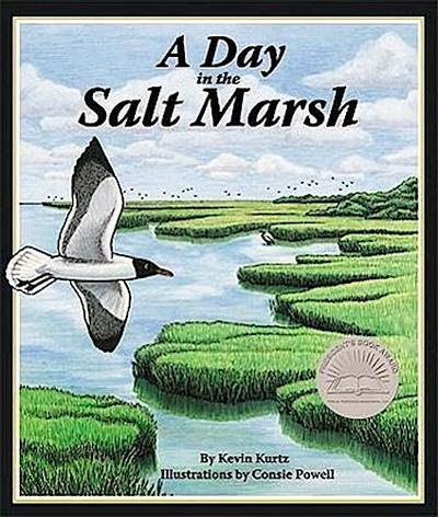 A Day in the Salt Marsh