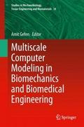 Multiscale Computer Modeling in Biomechanics and B