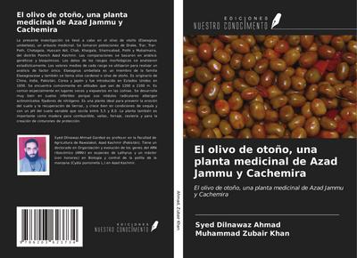 El olivo de otoño, una planta medicinal de Azad Jammu y Cachemira