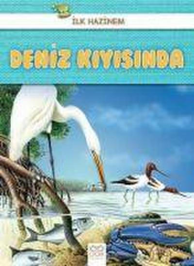 Deniz Kiyisinda - Ilk Hazinem