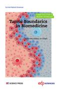 Tumor Boundarics in Biomedicine
