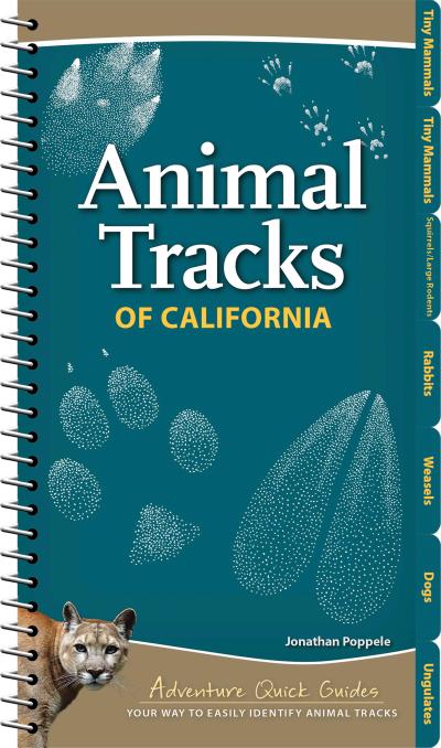 Animal Tracks of California