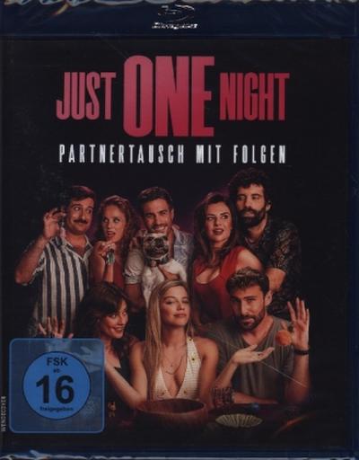 Just One Night - Partnertausch mit Folgen