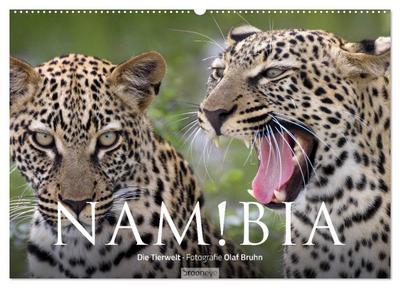 Namibia - Die Tierwelt (Wandkalender 2024 DIN A2 quer), CALVENDO Monatskalender