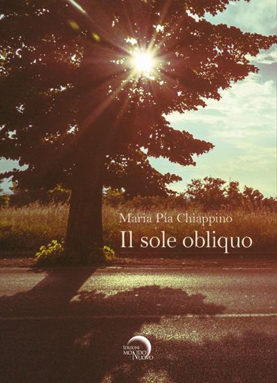 Il sole obliquo