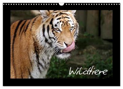 Wildtiere (Wandkalender 2027 DIN A3 quer), CALVENDO Monatskalender