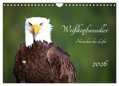 Weißkopfseeadler. Herrscher der Lüfte. 2026 (Wandkalender 2026 DIN A4 quer), CALVENDO Monatskalender