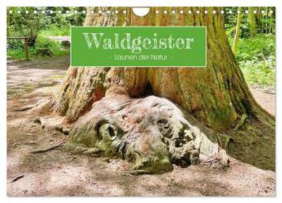 Waldgeister - Launen der Natur (Wandkalender 2026 DIN A4 quer), CALVENDO Monatskalender