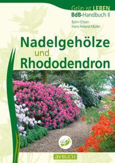 Nadelgehöze und Rhododendron