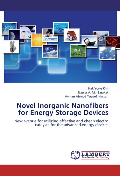 Novel Inorganic Nanofibers for Energy Storage Devices